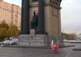 Fake-ar-video-fooh-respublika-mordoviya